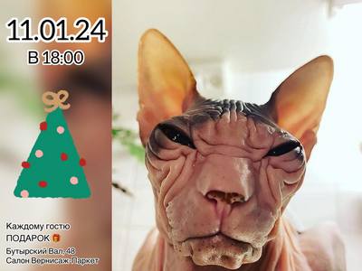 «Похмельная» вечеринка для строителей